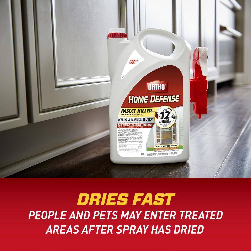 Ortho Home Defense 1 gal. Insect Killer for Indoor  Perimeter2 Ready-To-Use Trigger Sprayer 022081004