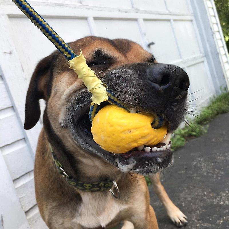 Tug of war durable dog toy