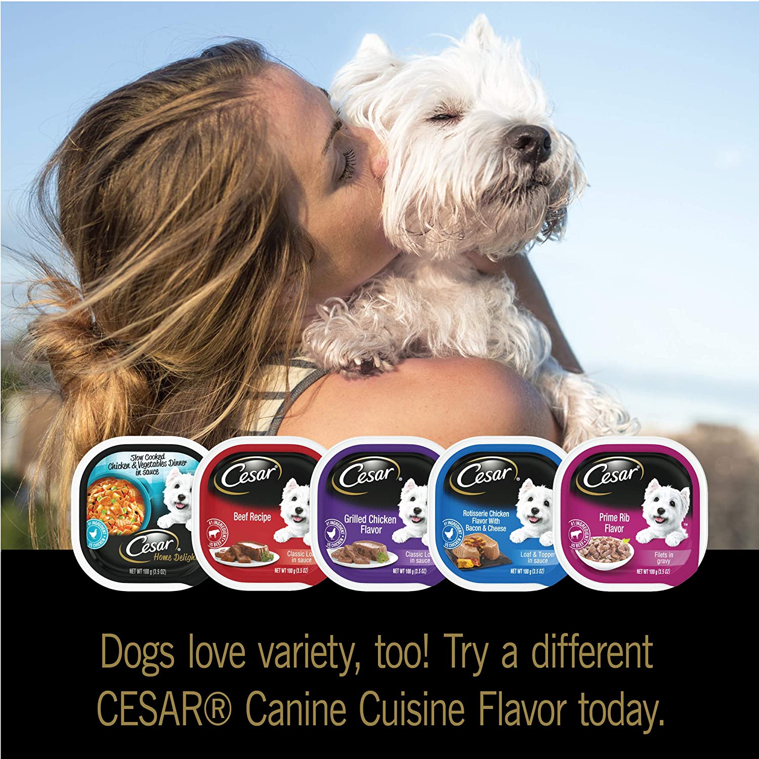 CESAR Adult Soft Wet Dog Food Filets in Gravy Variety Pack， Filet Mignon， New York Strip and Prime Rib Flavors， (24) 3.5 oz. Trays