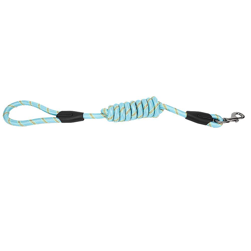 Outdoor High Strength Nylon Pet Dog Traction Rope Supply For Outside Walkingblue Large