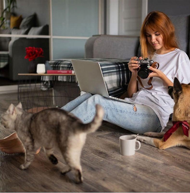 Solid wood coffee table cat nest