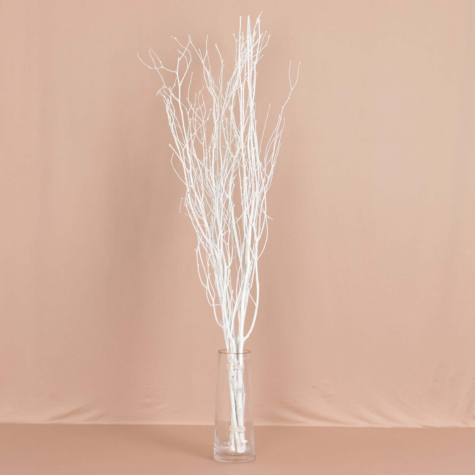 6 Pack White Decorative Birch Tree Branches, Extra Long Natural Dried Willow Twigs Sticks Vase Fillers - 46