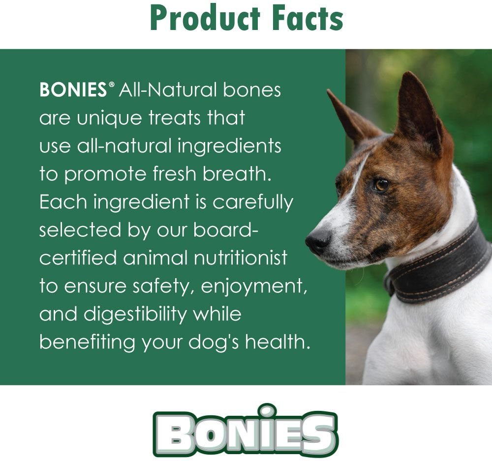 BONIES Skin and Coat Formula Large Dog Treats