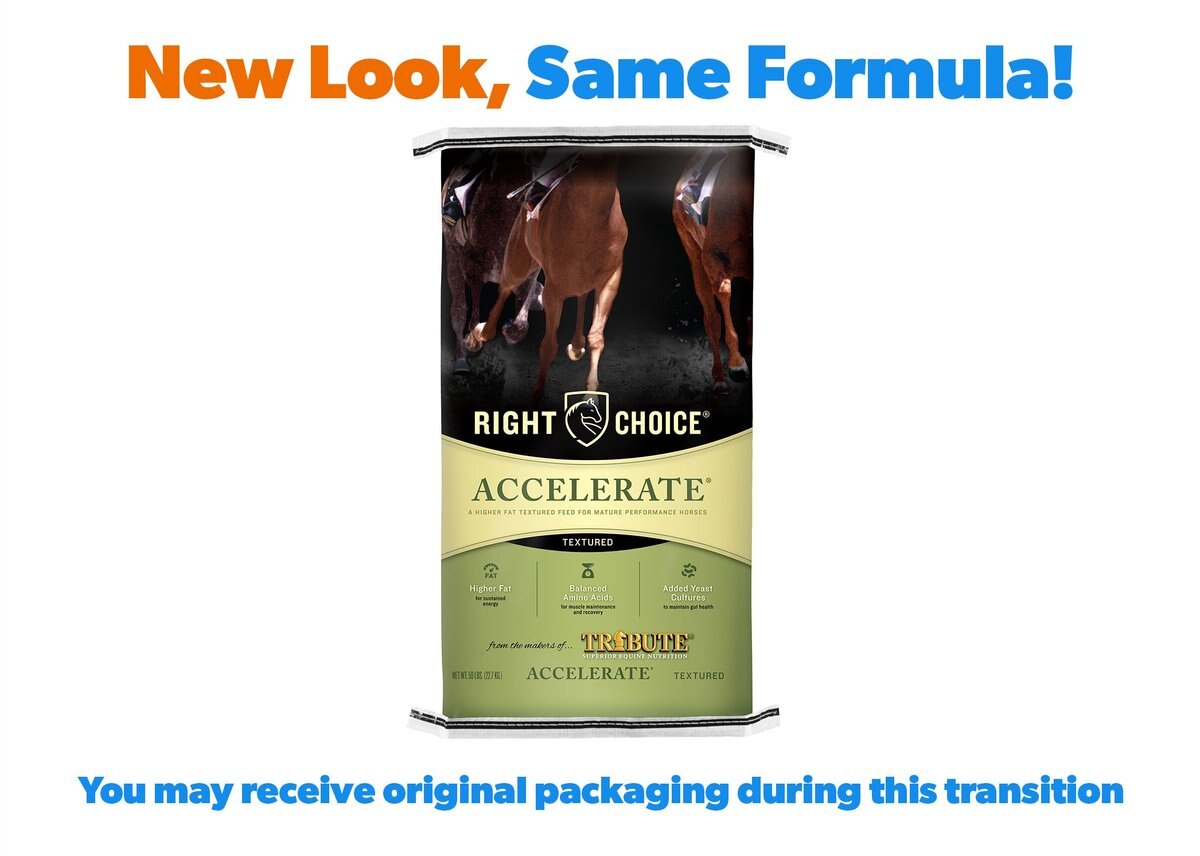 Right Choice Accelerate Horse Feed