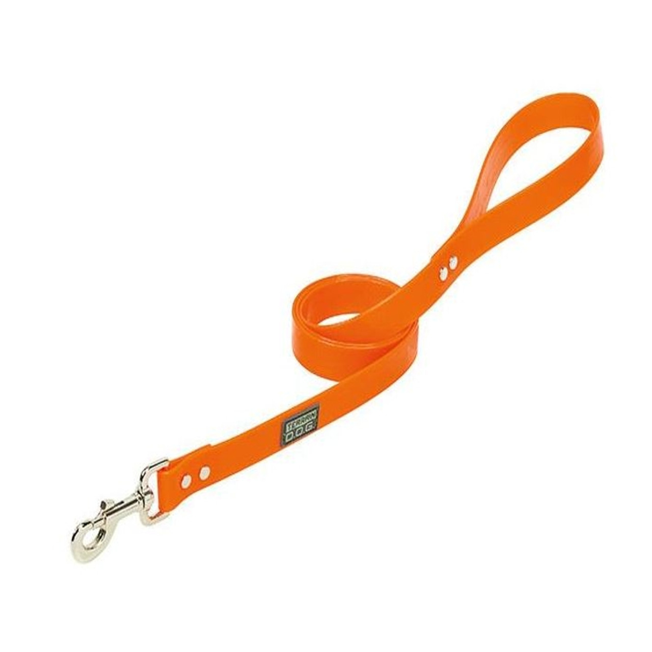 Terrain D.O.G. Brahma Webb Clear Coat Dog Leash - 1