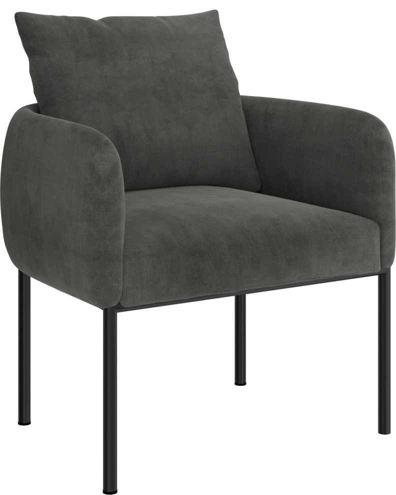 Petrie Accent Chair   Transitional   Armchairs And Accent Chairs   by HedgeApple  Houzz