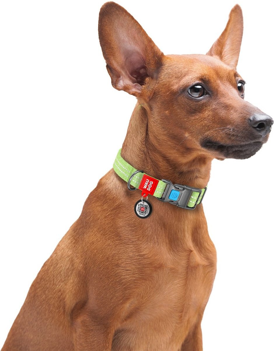 WAUDOG Re-Cotton w/QR passport Dog Collar