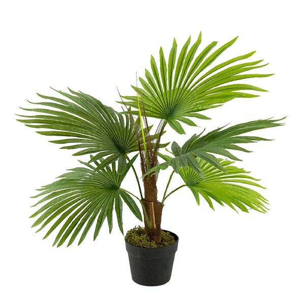 AandB Home Fan Palm Tree in Pot