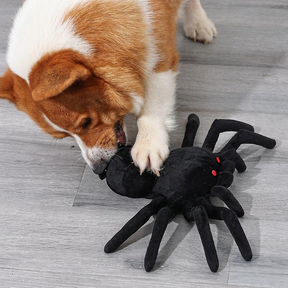 Halloween spider dog snuffle toy