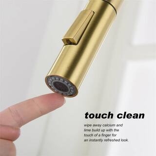 FLG Single Handle Touch On Pull Down Sprayer Kitchen Faucet with Pull Out Spray Wand Stainless Steel Taps in Brushed Gold DD-0027-BG