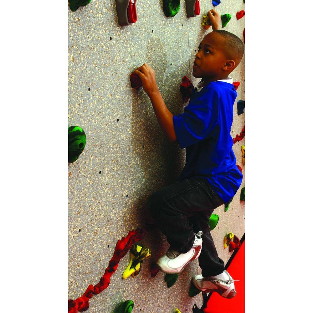 Everlast Climbing DIY Indoor Climbing Wall with Standard Panel DIYSTD