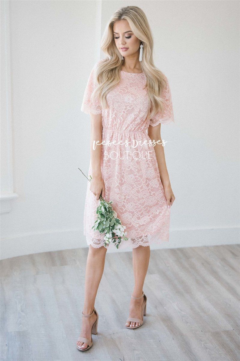 Soft Rose Scallop Lace Dress