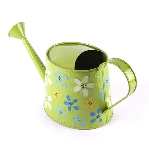 Custom Design Metal Teal watering can for outdoor and indoor plants flowers watering can Home Garden High quality made in india