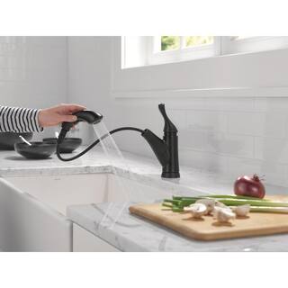 Delta Grant Single-Handle Pull-Out Sprayer Kitchen Faucet in Matte Black 16953-BL-DST