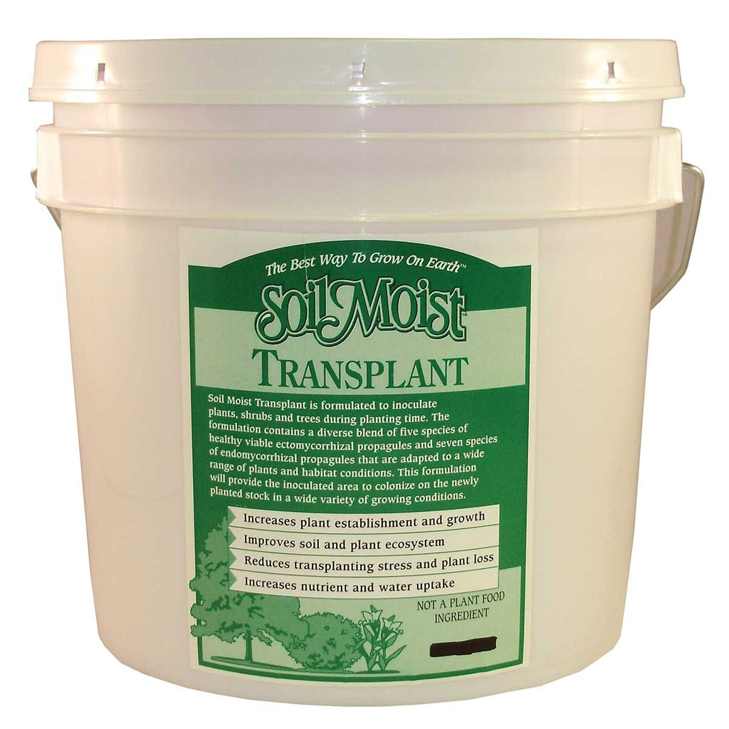 Soil Moist Transplant Mycorrhizae