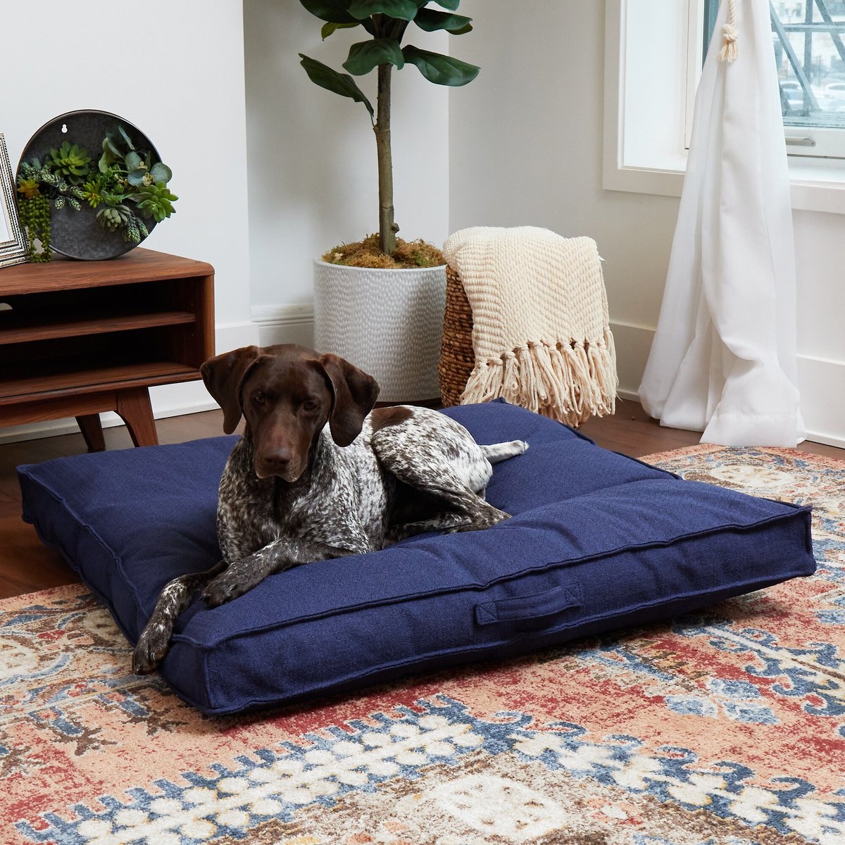 Happy Hounds Milo Square Tufted Pillow Dog Bed