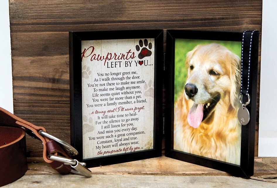 Pawprints Left by You Dog Picture Frame， 5 x 7