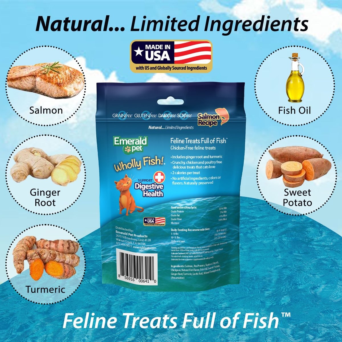 Emerald Pet Wholly Fish! Digestive Health Salmon Recipe Cat Treats