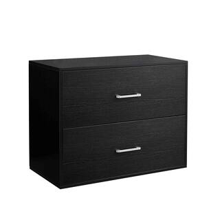 Wateday Black File Cabinet with 2-Drawers YJ-YUKI9595658