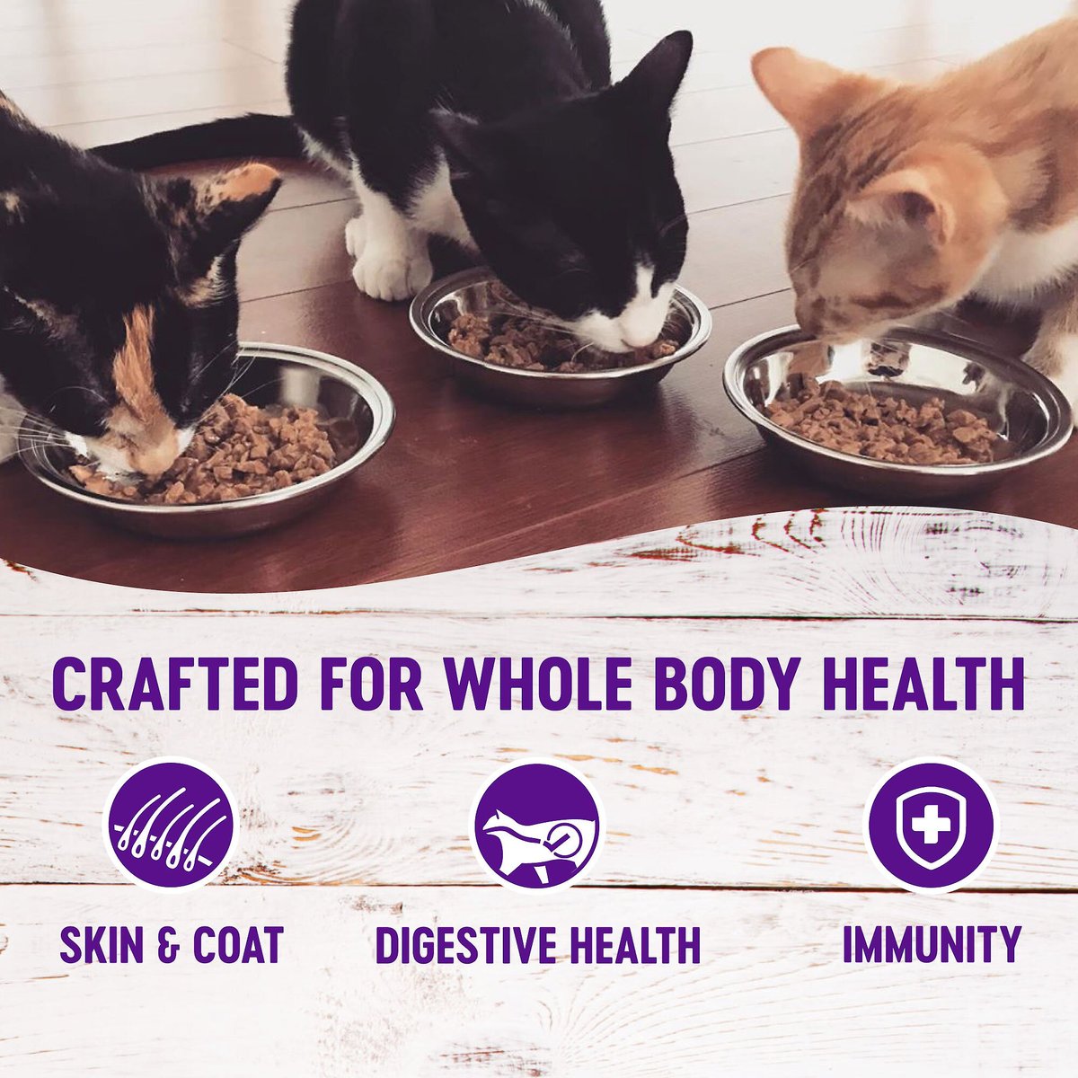 Wellness Healthy Indulgence Shreds Grain-Free Variety Pack Cat Food Pouches