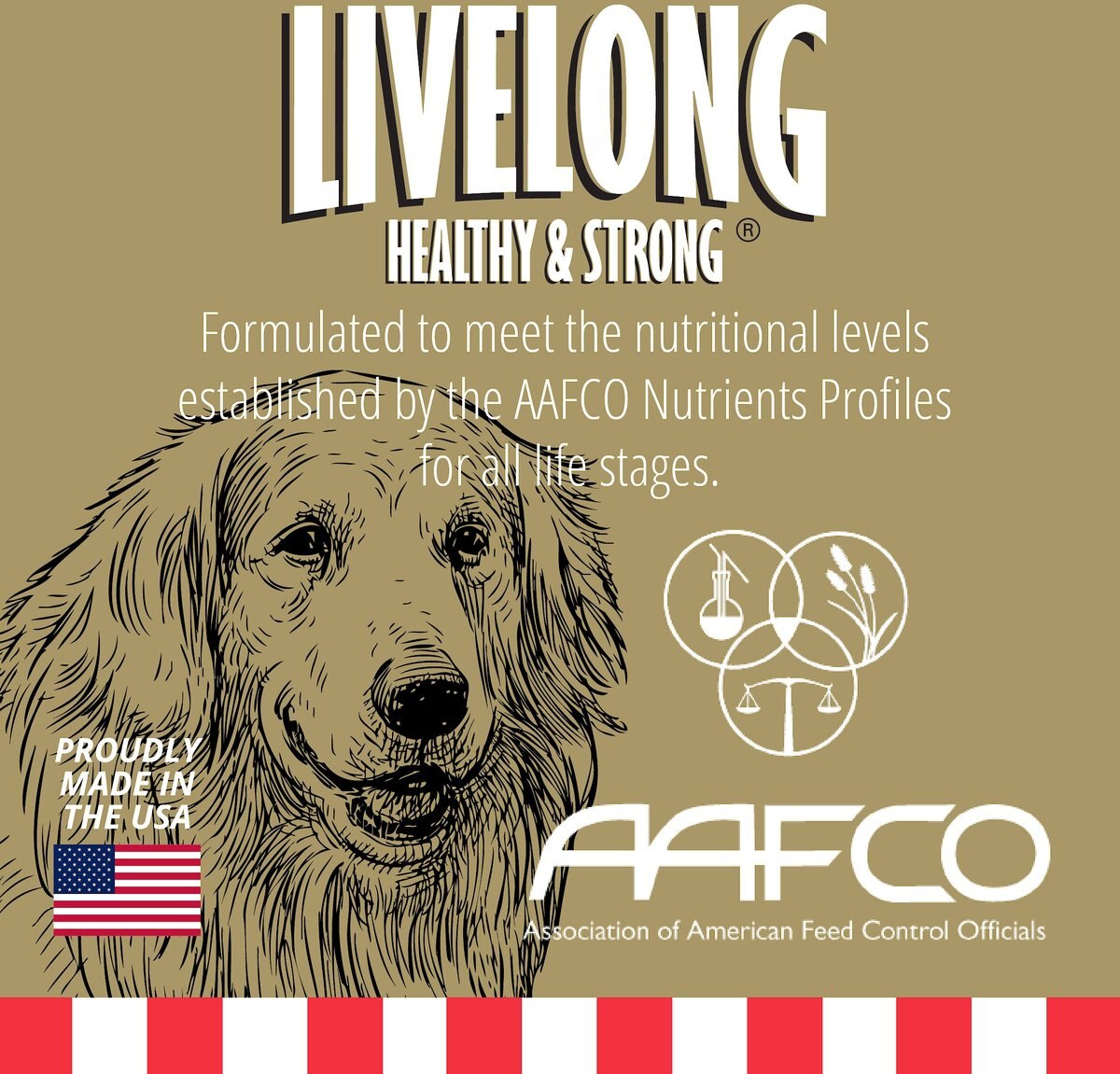 Livelong Healthy and Strong Chicken and Sweet Potato Recipe Wet Dog Food， 12.5-oz can， case of 12