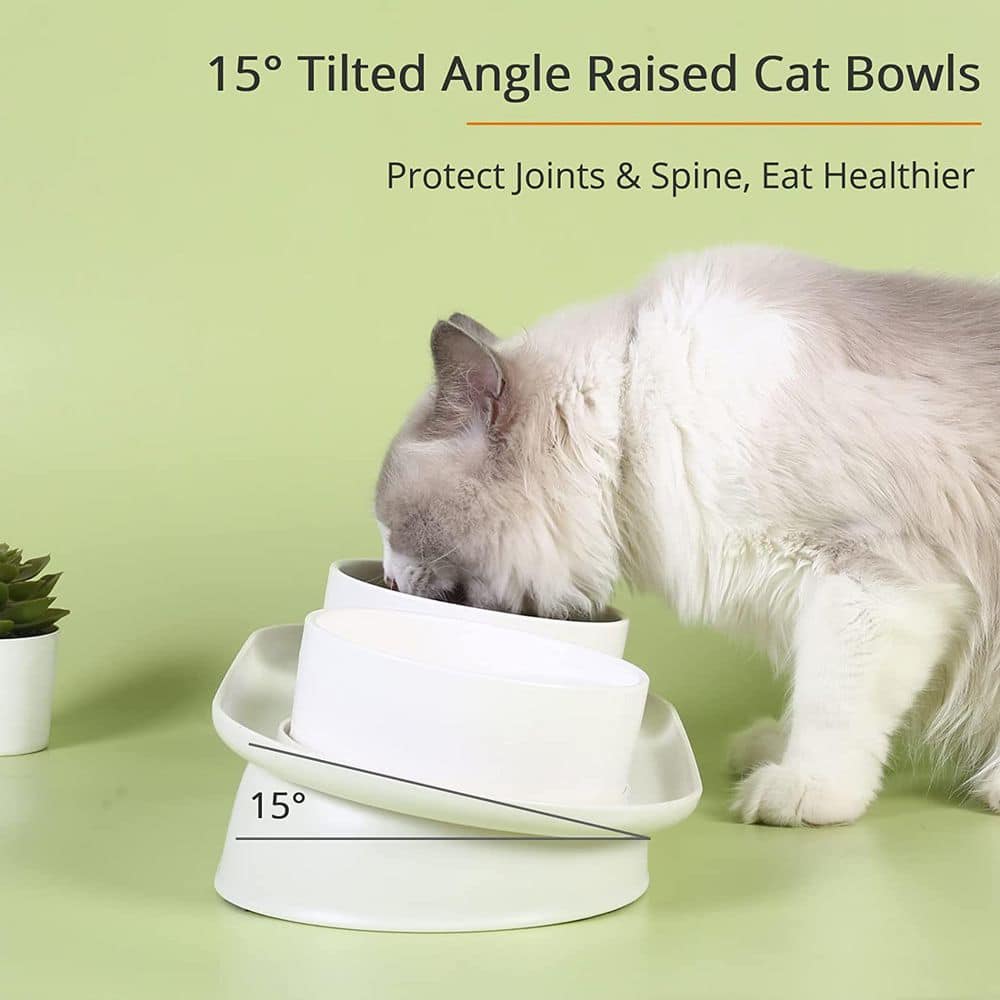 Elevated Cat Bowls, Raised Cats Ceramic Food and Water Stand Bowl Dishes in White H-D0102H9XK8U