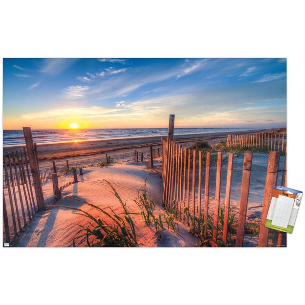 Trends International Scenery Boardwalk Unframed Wall Poster Prints