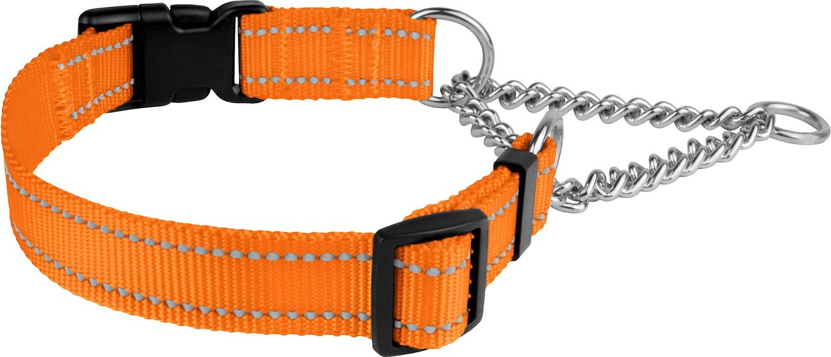 CollarDirect Nylon Reflective Martingale Dog Collar