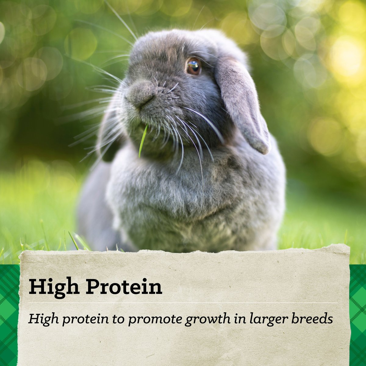 Nutrena NatureWise Perform 18% Protein Rabbit Food， 40-lb bag