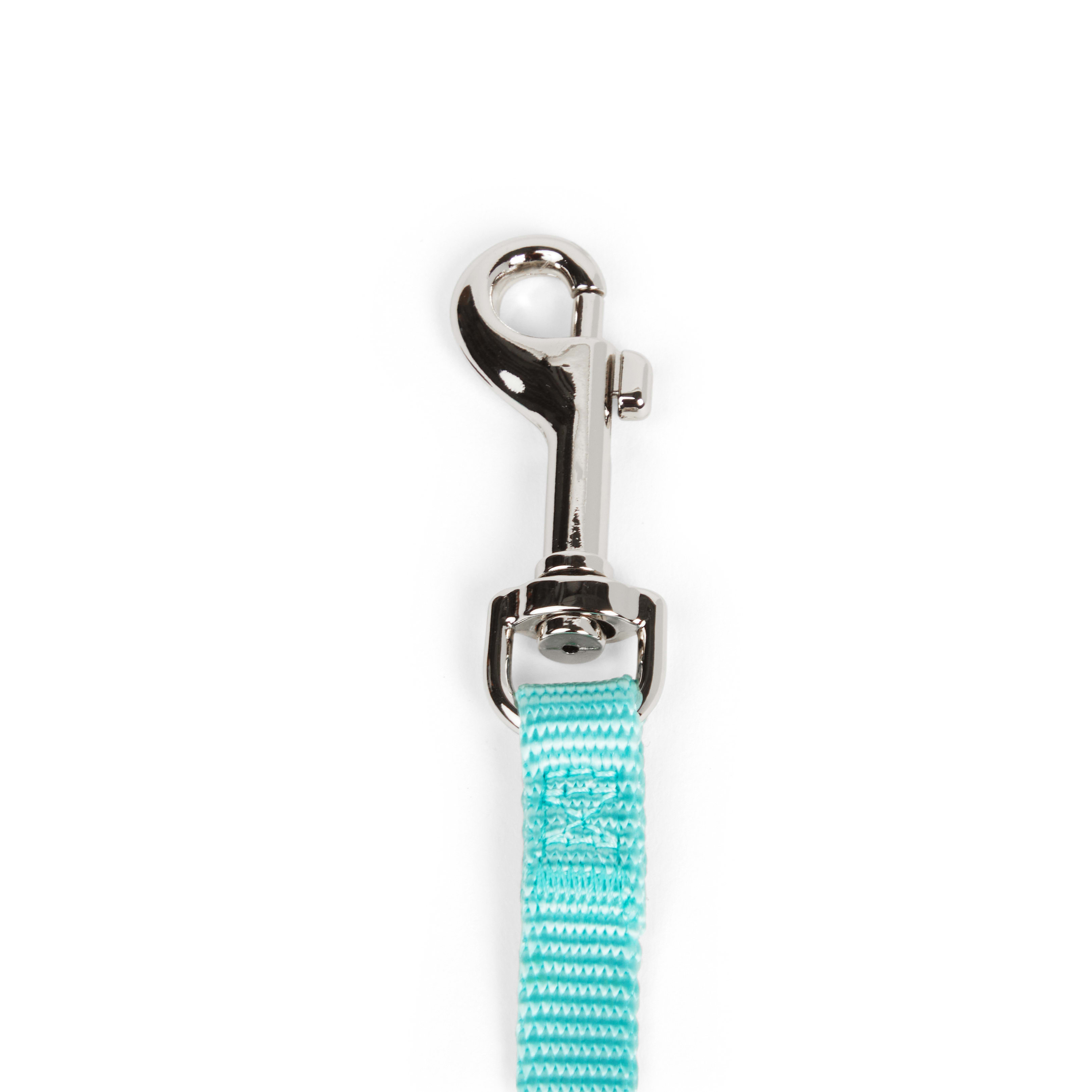 YOULY Turquoise Dog Lead， 6 ft.， X-Small