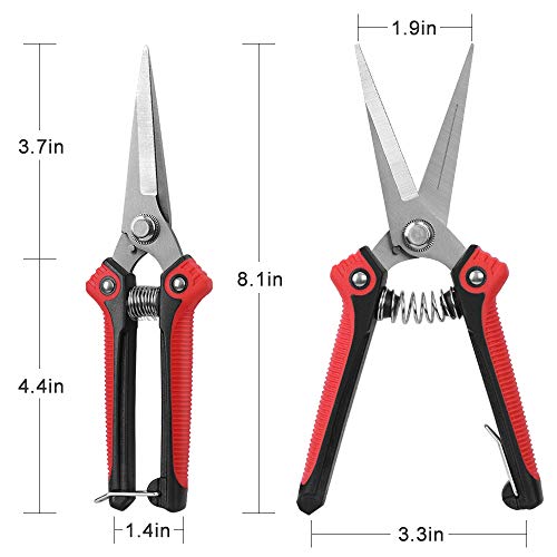 WYF Pruning Scissors, Professional Garden Shears - Straight Stainless Steel Blades - Sharp Gardening Hand Pruner for Garden Harvesting Fruits, Vegetables, Trimming Flowers and Plants, 8.1IN(Red)