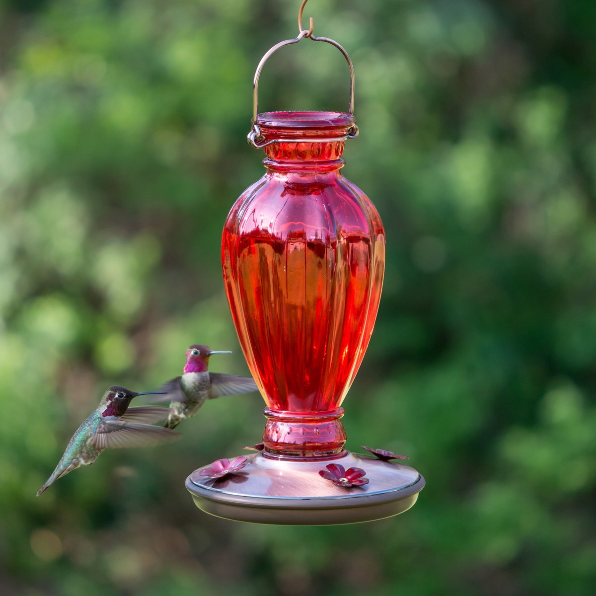 Perky-Pet Daisy Vase Vintage Glass Hummingbird Feeder