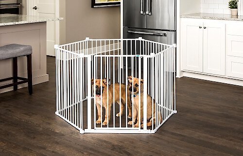 Carlson Pet Products Convertible Wire Dog Pet Yard