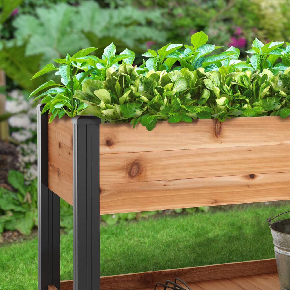 Outdoor Essentials Haven 2 ft. x 4 ft. Natural Cedar Elevated Garden Bed with Shelf (Vinyl Legs) 482124