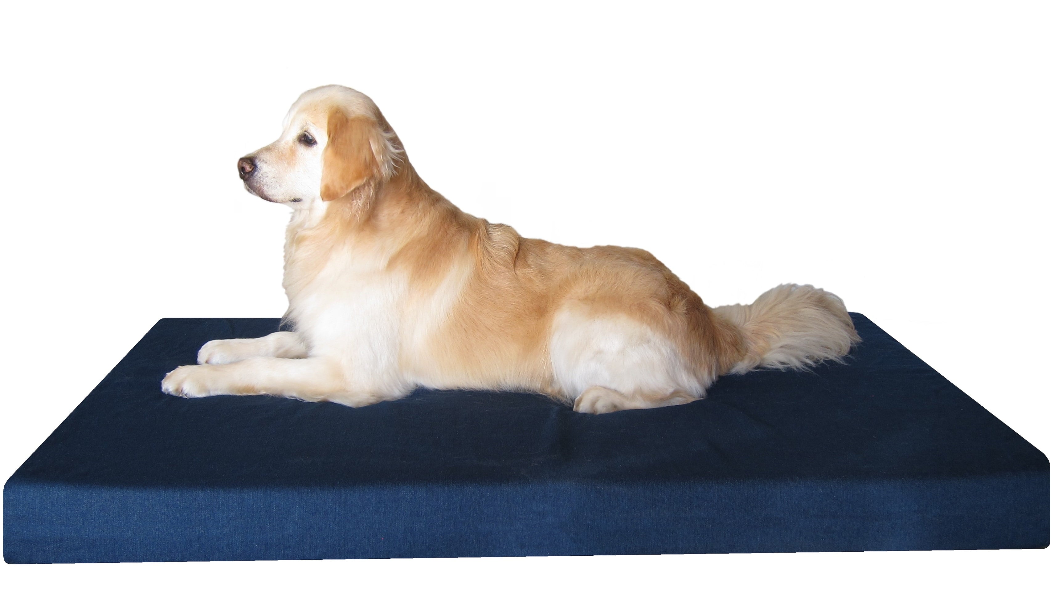 Dogbed4less Orthopedic Waterproof Memory Foam Dog Bed for Large Pet 55