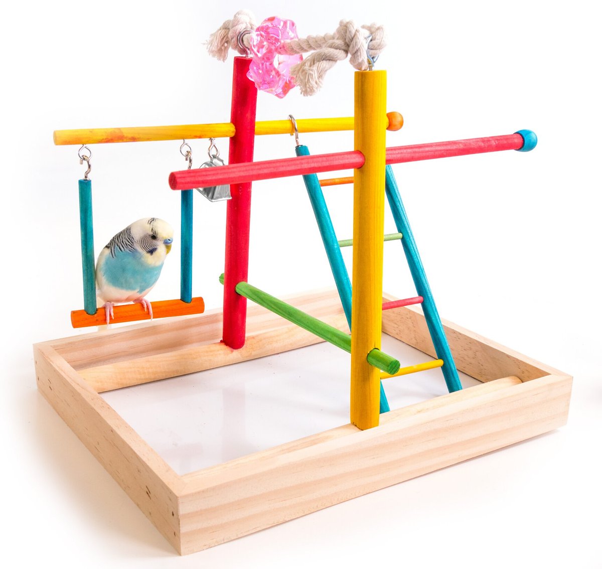 Penn-Plax Parakeet and Small Bird Activity Center