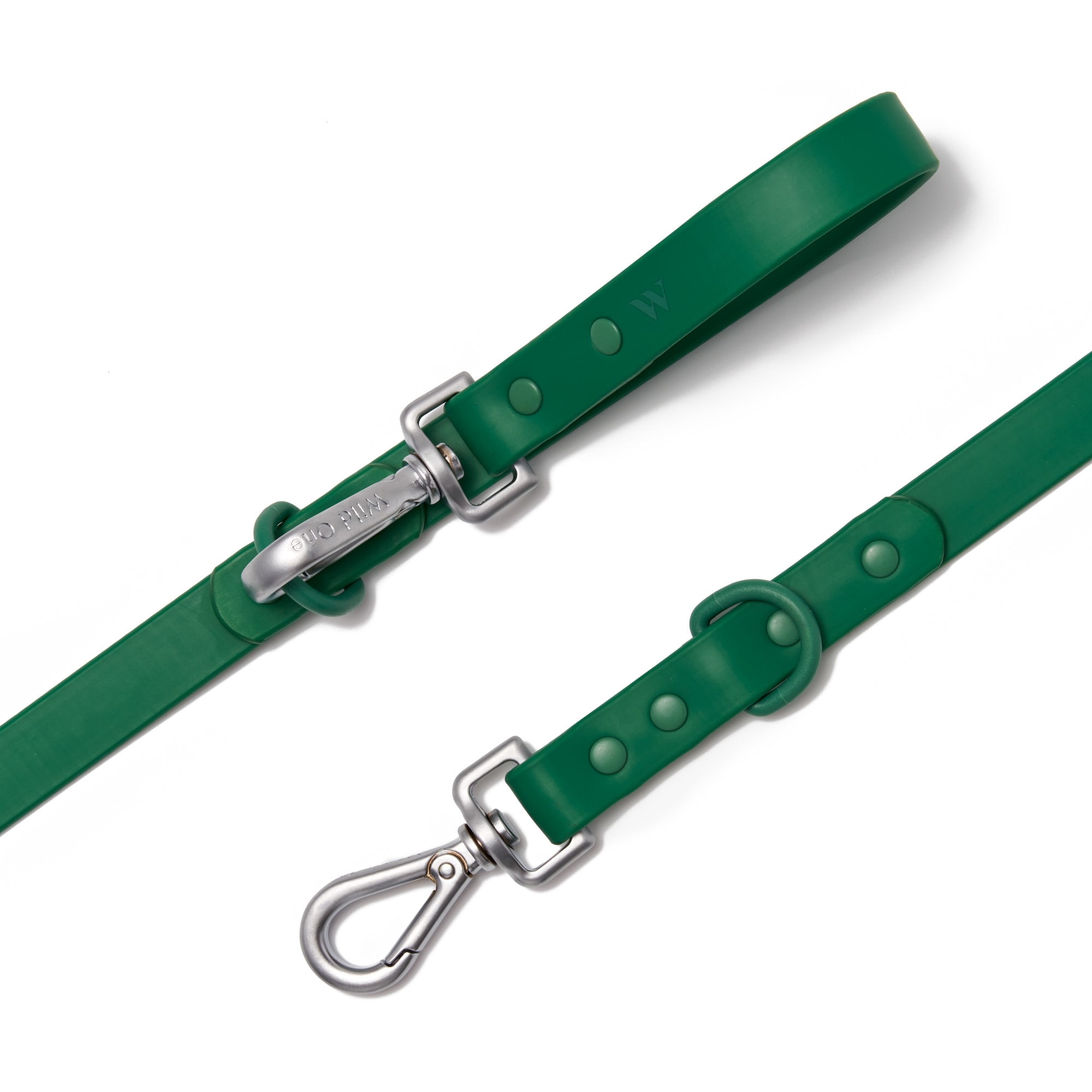 Wild One Spruce Dog Leash， 66