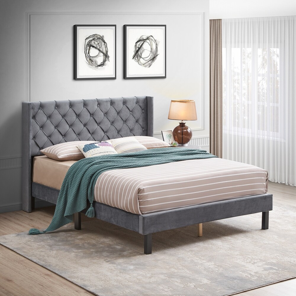 Velvet Button Tufted Upholstered Platform Queen Bed with Wings Design  Grey