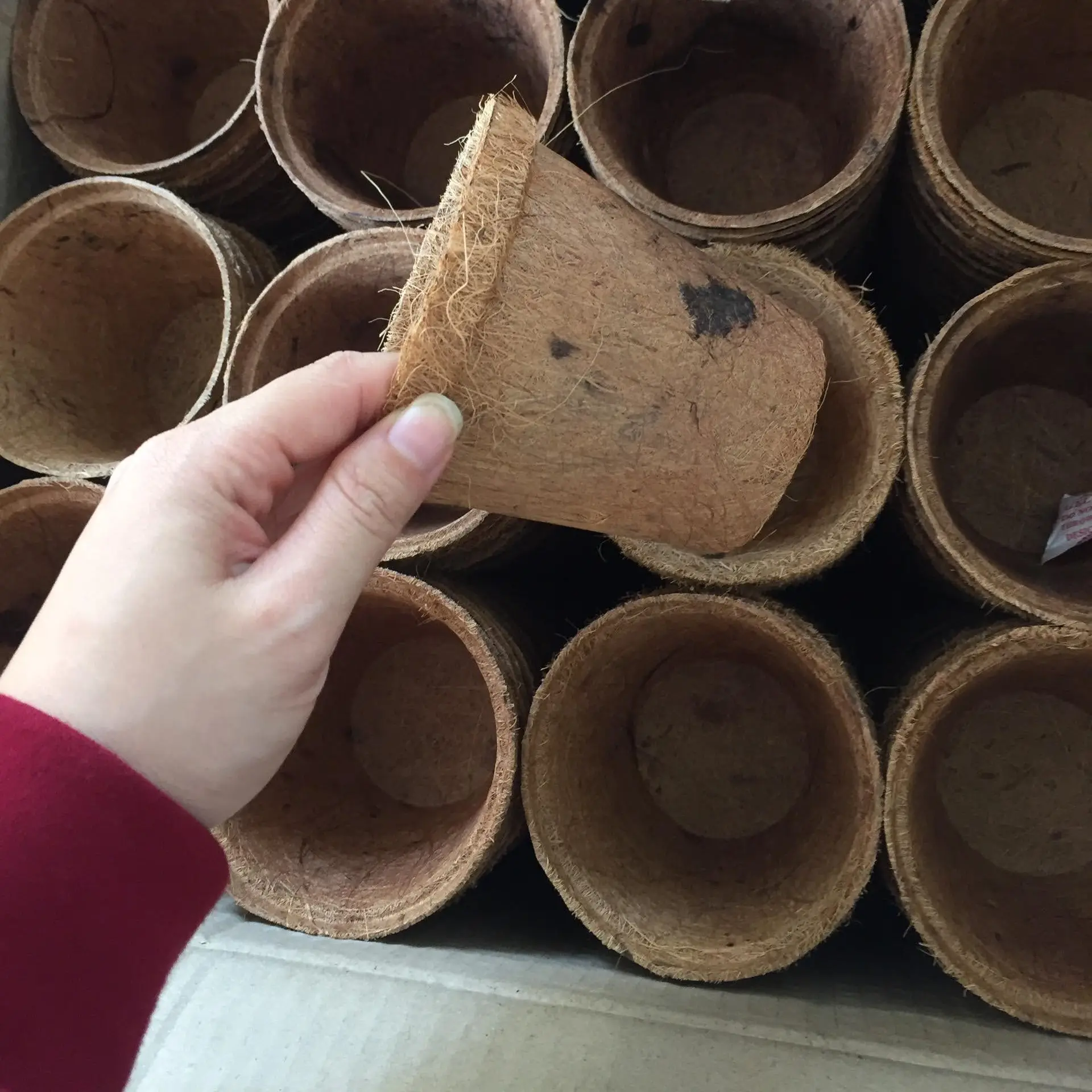 Mini flower coir pots wholesale cheap price small planter pot farming and gardening supply ready to ship