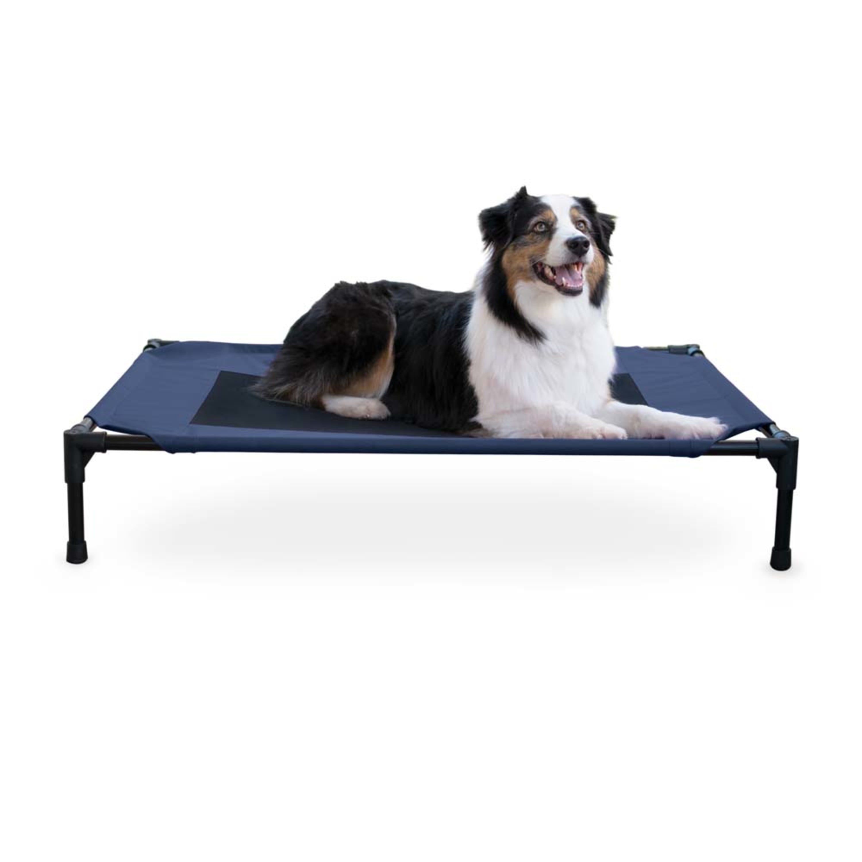 KandH Pet Products Original Pet Cot Elevated Pet Bed Large Blue 30