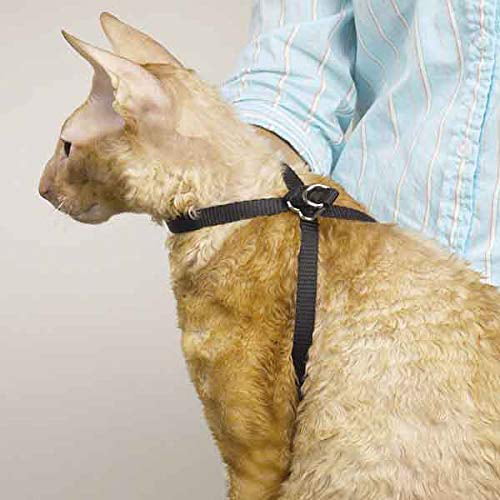 Black Nylon Adjustable Cat Harness 40