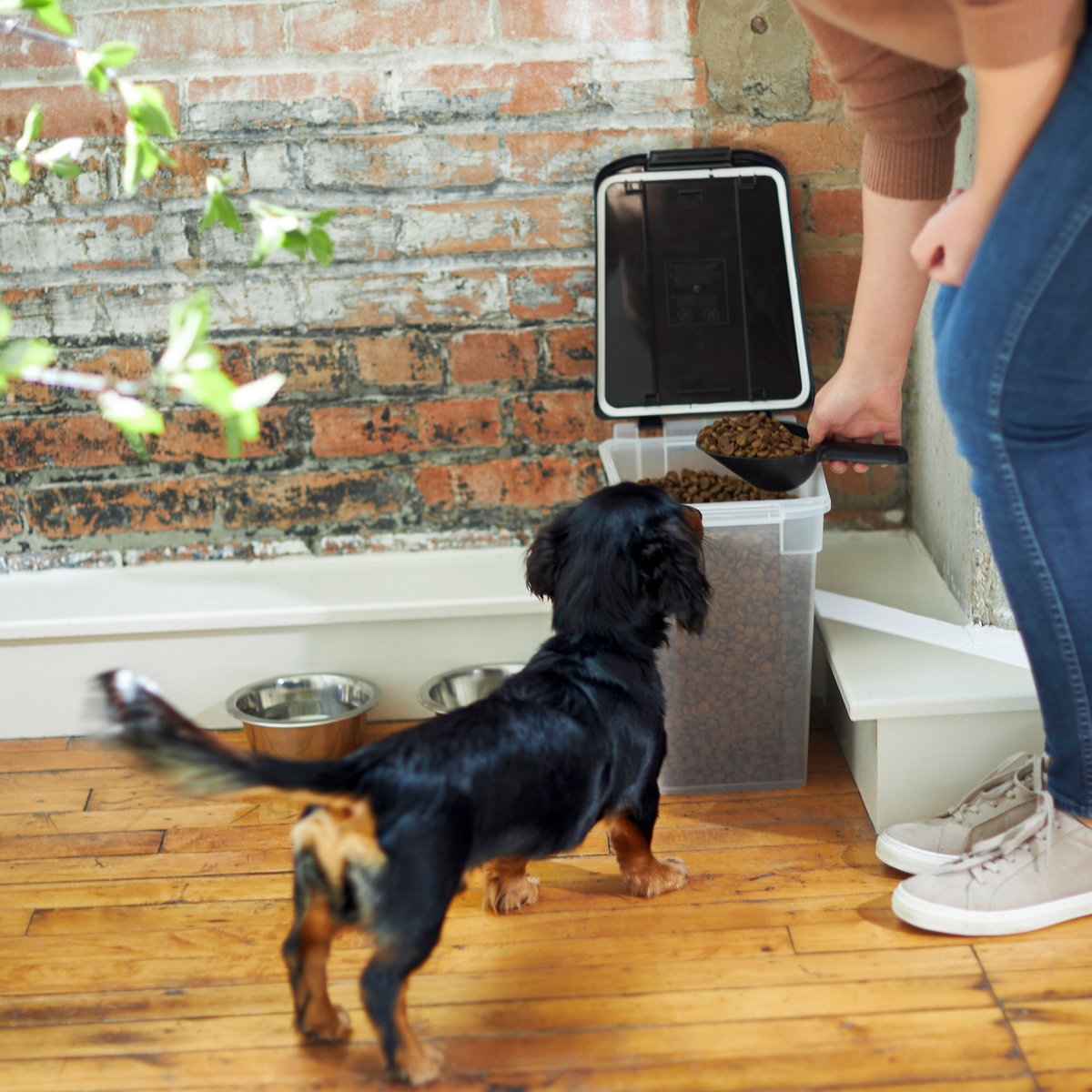 Frisco Airtight Food Storage Container