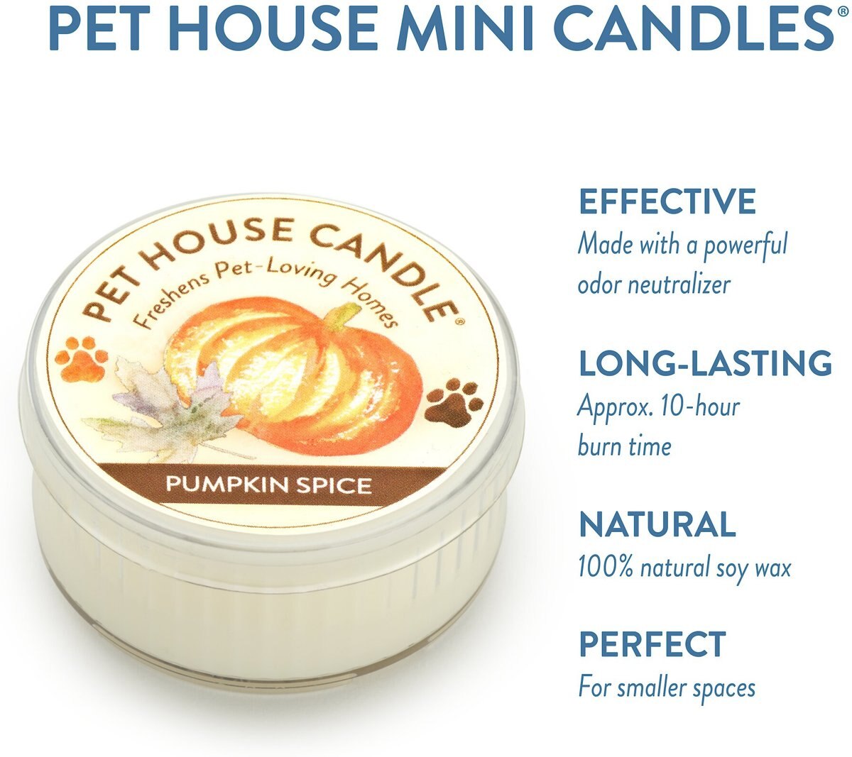 Pet House Pumpkin Spice Natural Soy Candle