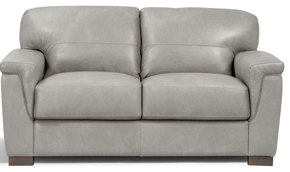 ACME Cornelia Loveseat in Pearl Gray Leather   Contemporary   Loveseats   by Acme Furniture  Houzz