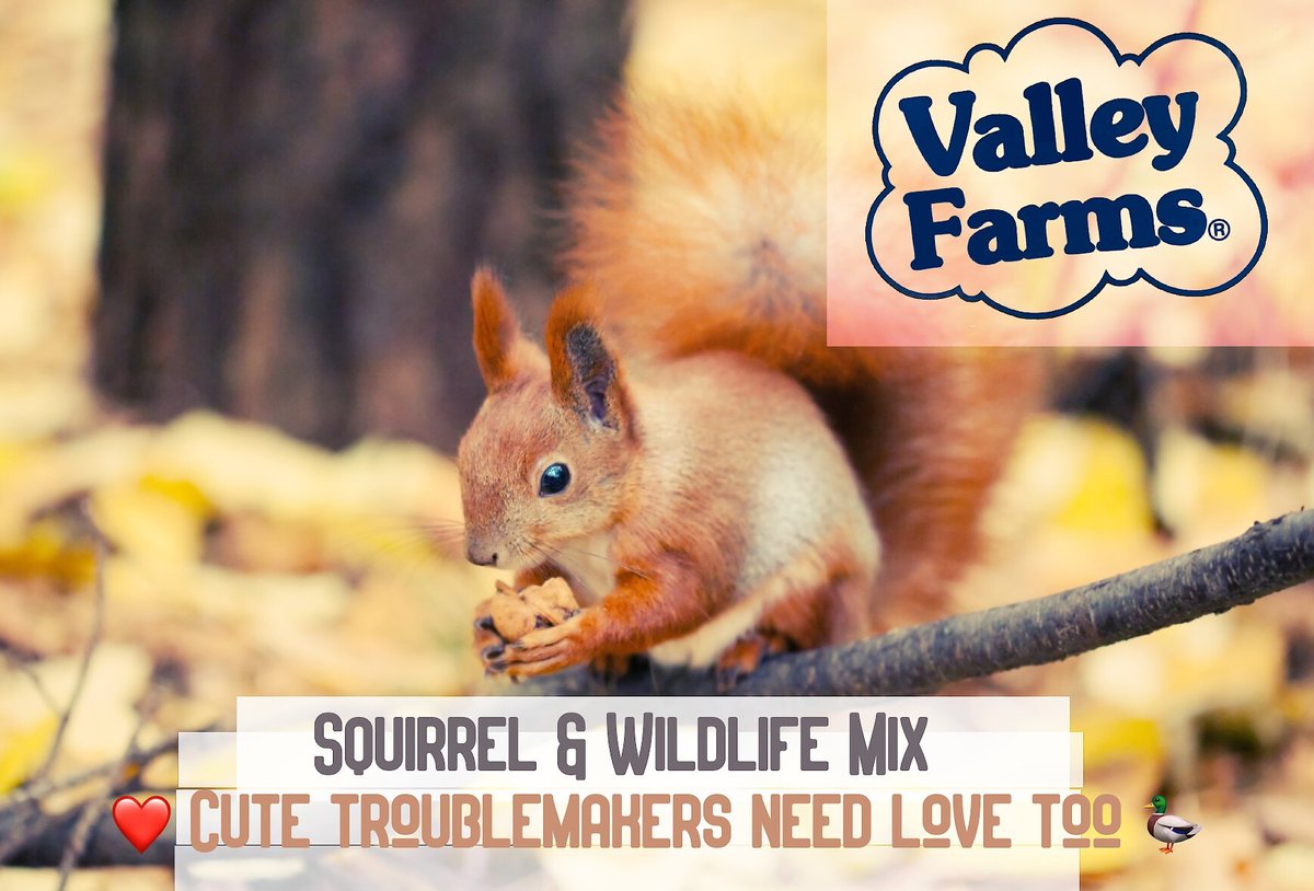 Valley Farms Squirrel and Wildlife Mix Food， 15-lb bag