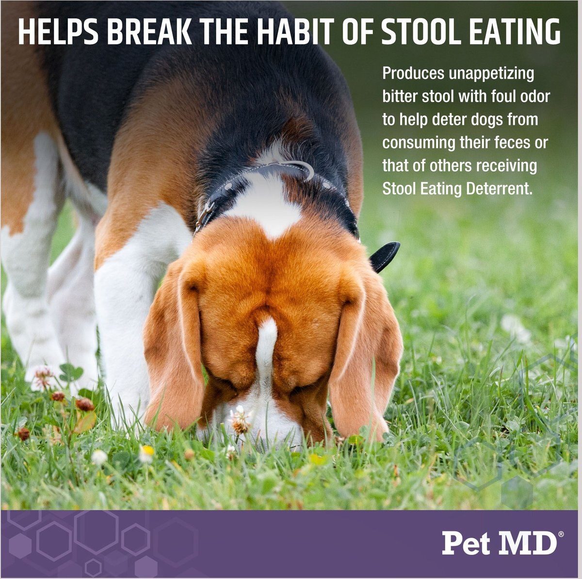 Pet MD Stool Eating Deterrent Dog Supplement， 60 count