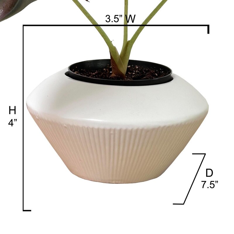 Ceramic Flower Planter  Ceramic Pot Planter  Plant Pots Indoor Ceramic  Ceramic Pot   8'6\