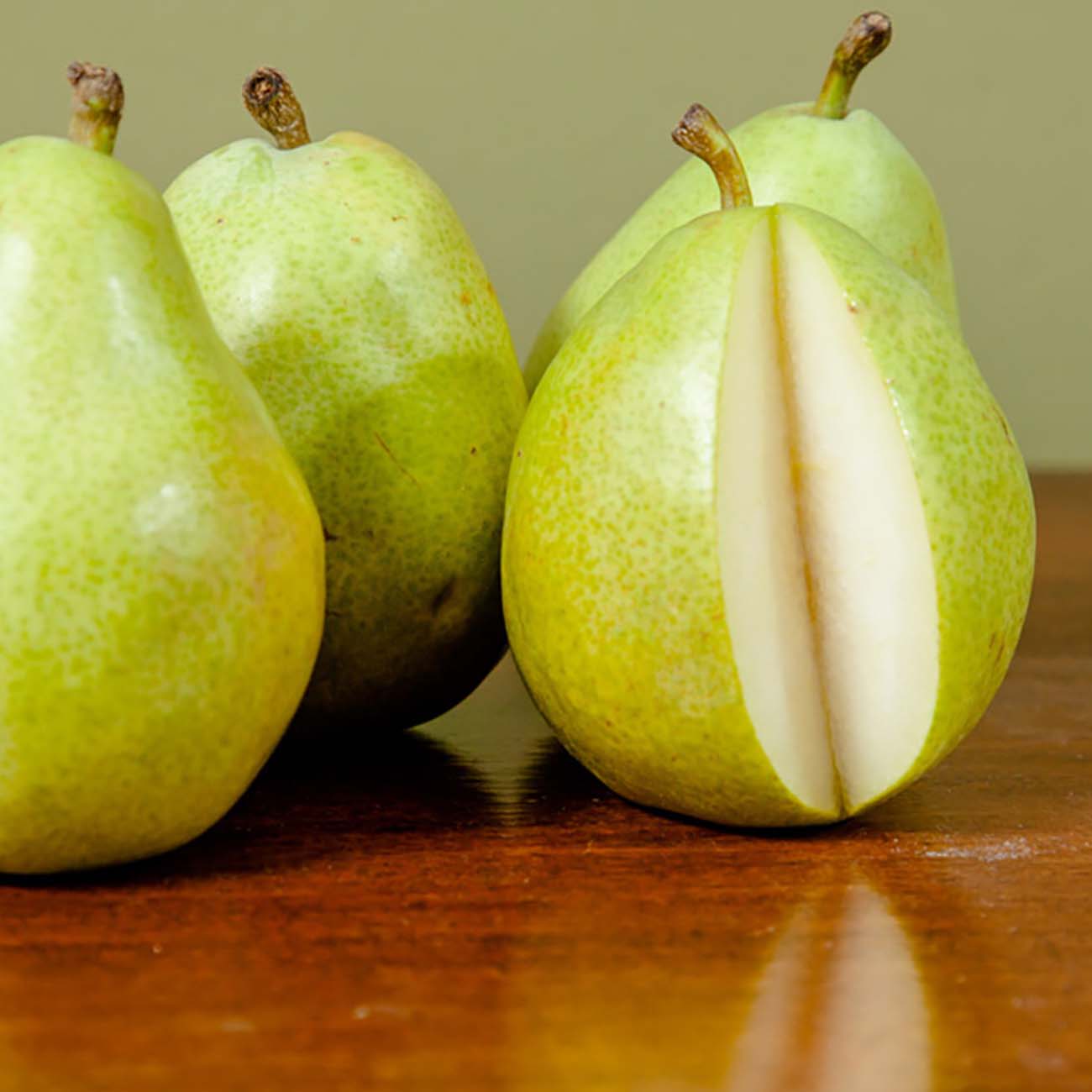 5-6 ft. Hood Pear Tree - Hardy Southern Favorite - Low Chill Hours