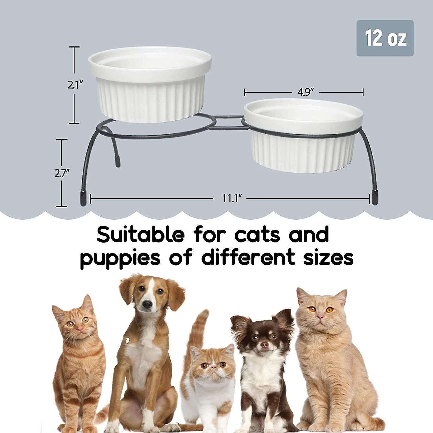 Dog Bowl And Bowl Elevated Cat Bowl， 15 Degree Sloped Ceramic For Small Dogs With Iron Stand， 2-in-1 Elevated Food And Water Bowls For Dogs， Neck Reli