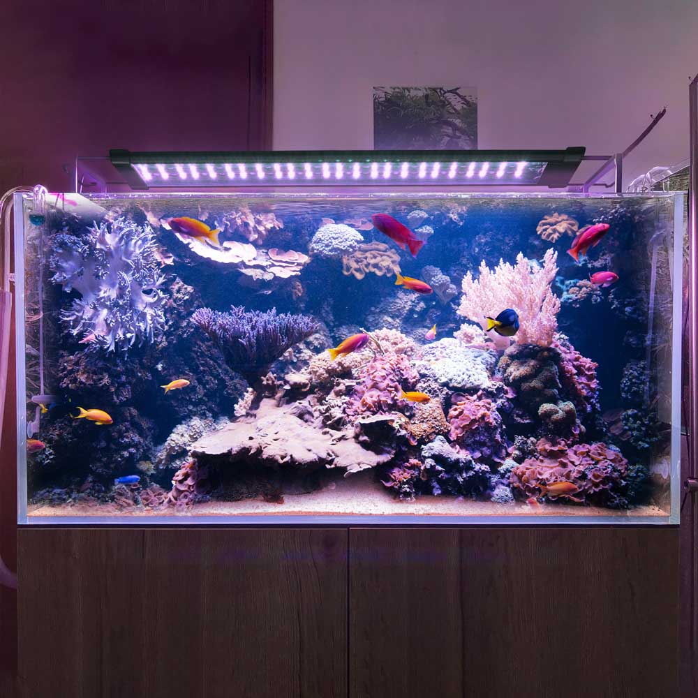 AquaBasik LED Aquarium Light with Timer RC RGBW 22-29